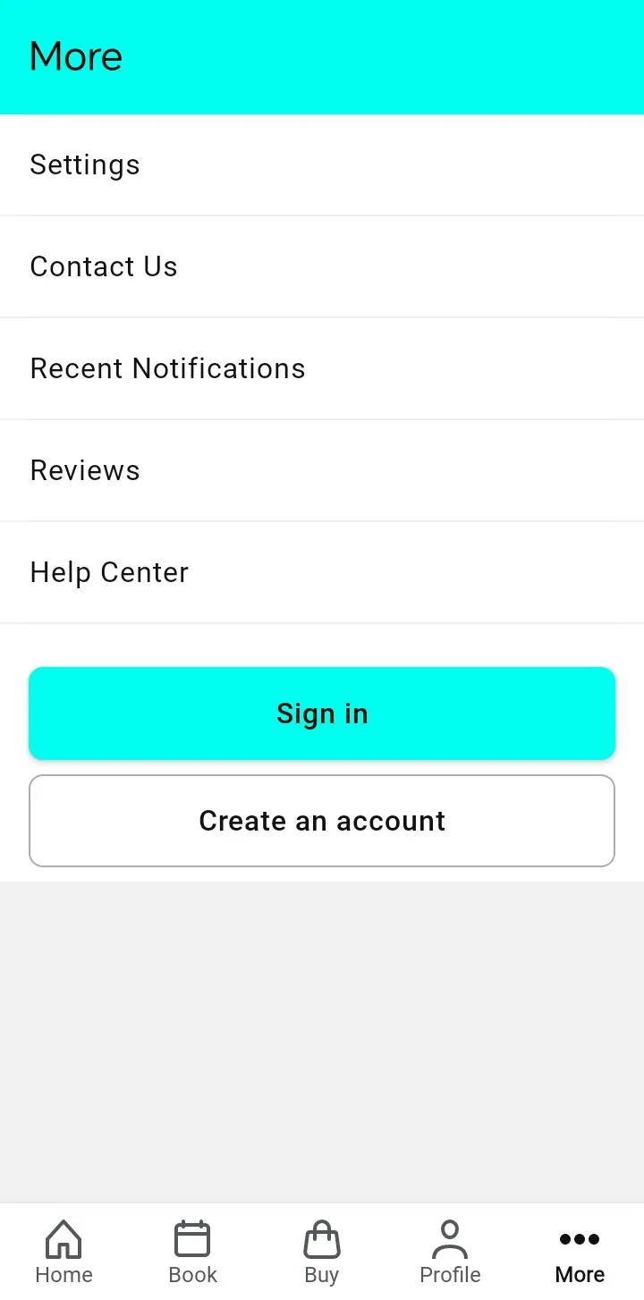 App screen: Tap More, then sign in